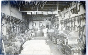 kaiser harness 1884